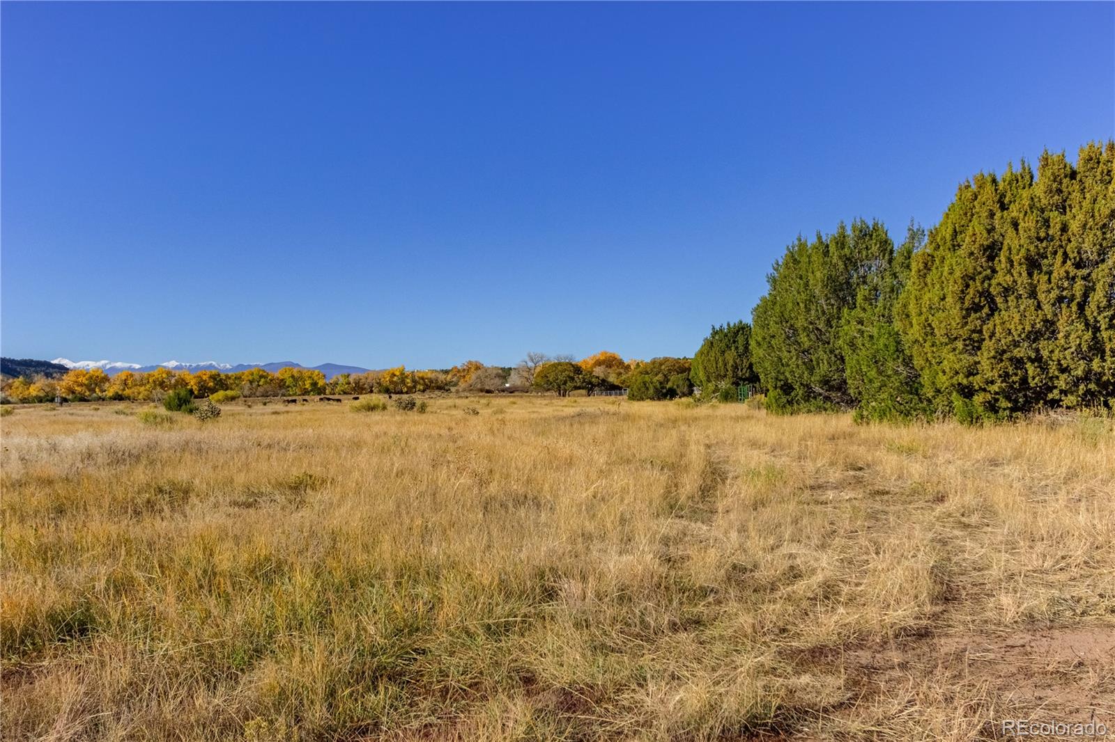 Trail 74 Us Highway 160 Walsenburg CO 81089