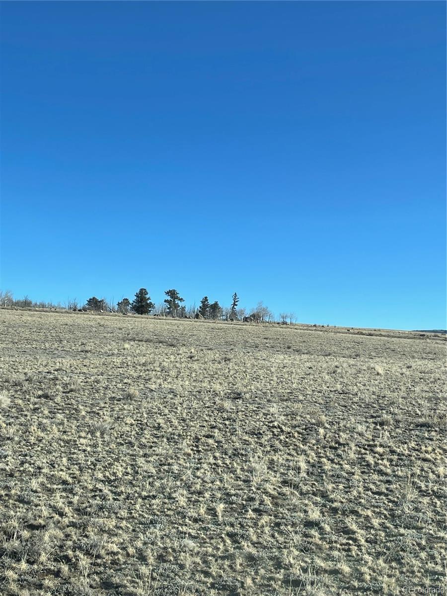 262 Grand Teton Drive Hartsel CO 80449