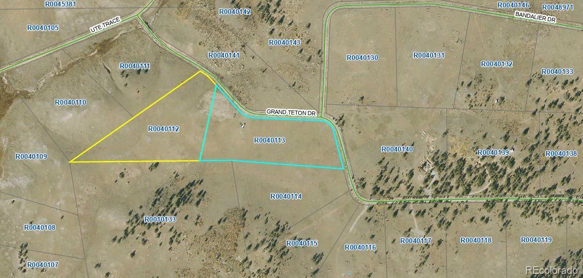 262 Grand Teton Drive Hartsel CO 80449