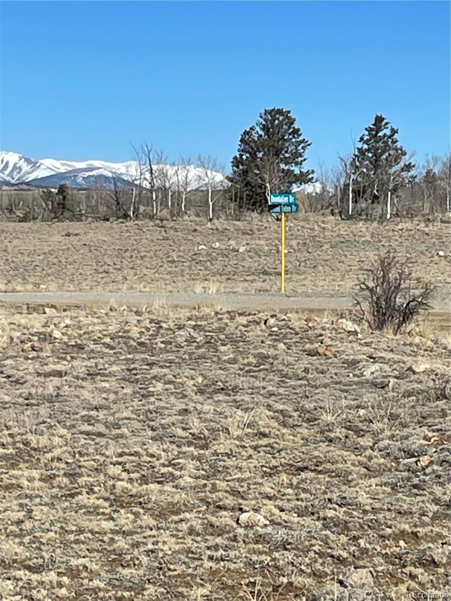 262 Grand Teton Drive Hartsel CO 80449