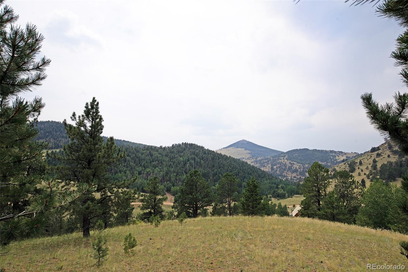 726 Copper Mountain Drive Cripple Creek CO 80813