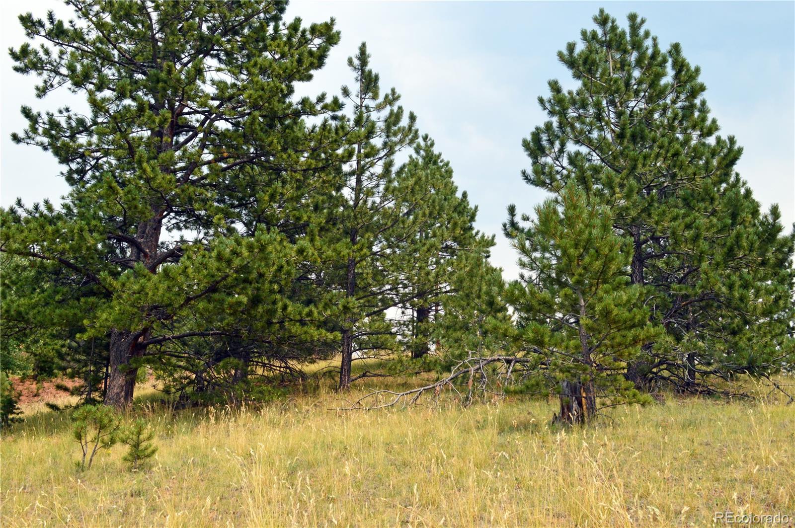 726 Copper Mountain Drive Cripple Creek CO 80813