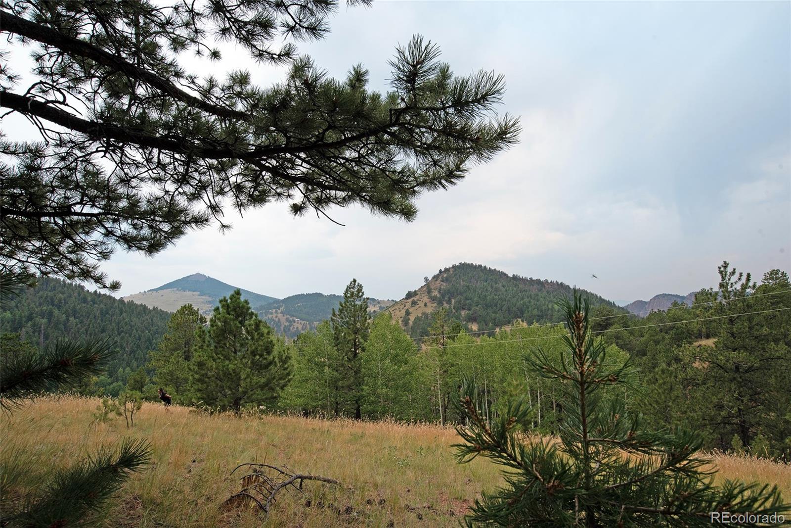 726 Copper Mountain Drive Cripple Creek CO 80813
