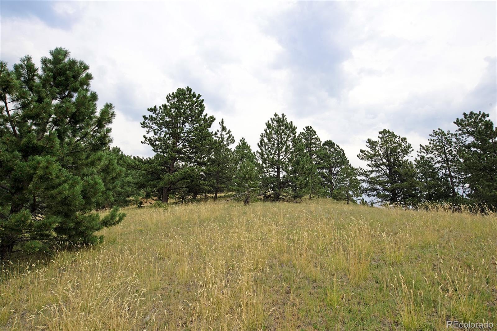 726 Copper Mountain Drive Cripple Creek CO 80813