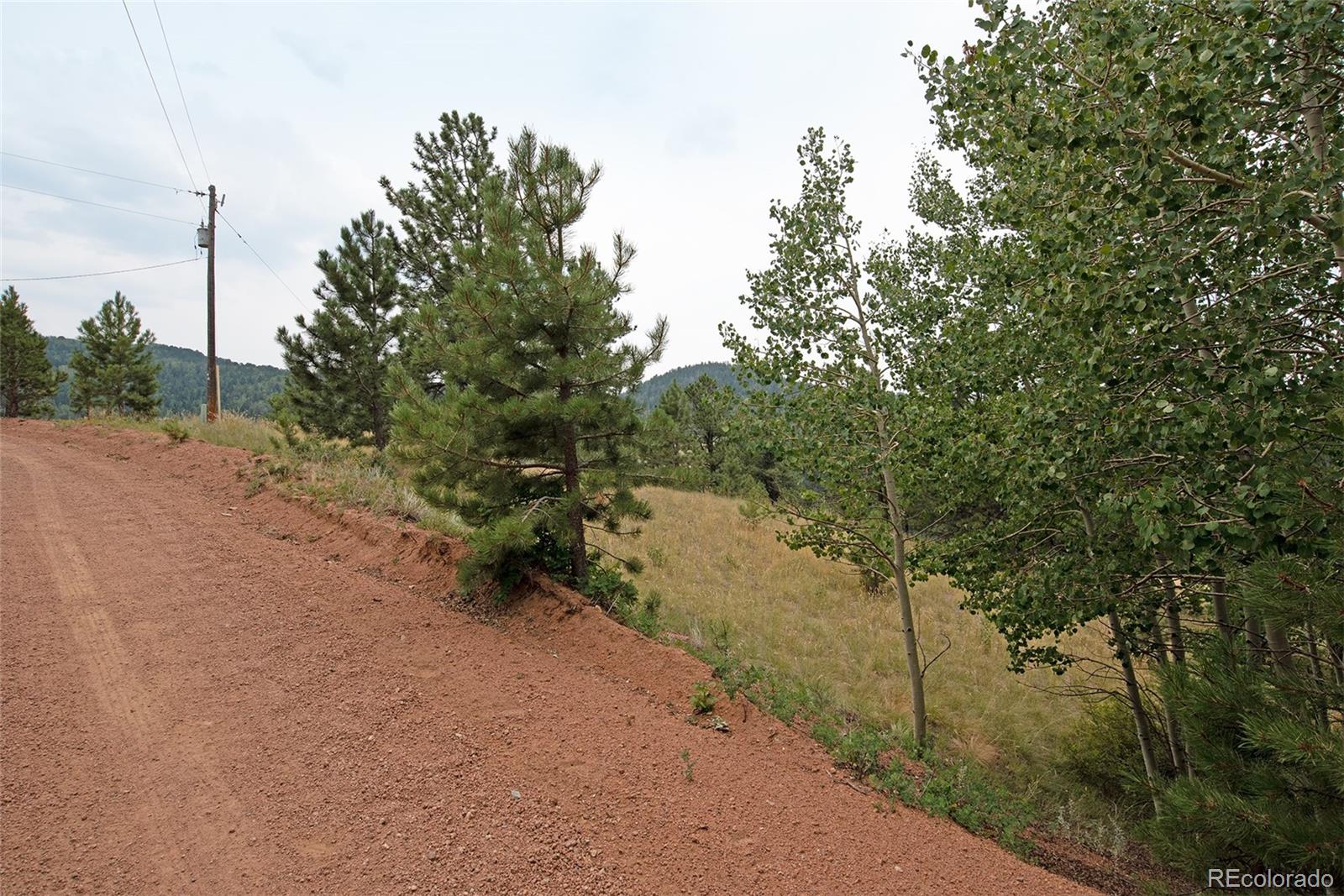 726 Copper Mountain Drive Cripple Creek CO 80813