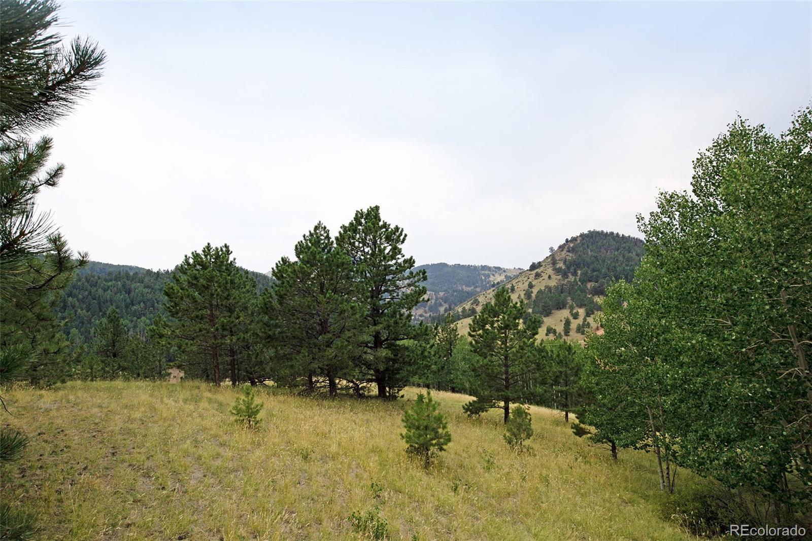 726 Copper Mountain Drive Cripple Creek CO 80813