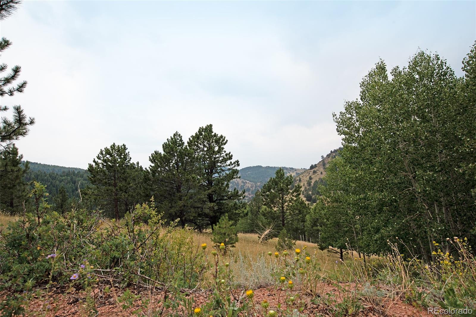 726 Copper Mountain Drive Cripple Creek CO 80813