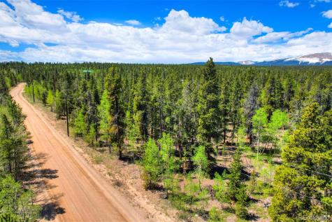 0 Busch Run Road Fairplay CO 80440