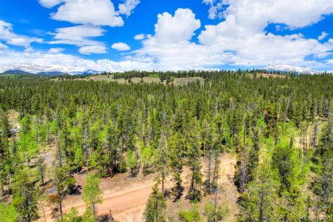 0 Busch Run Road Fairplay CO 80440