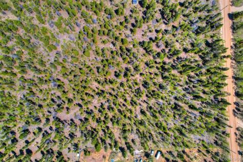 0 Busch Run Road Fairplay CO 80440