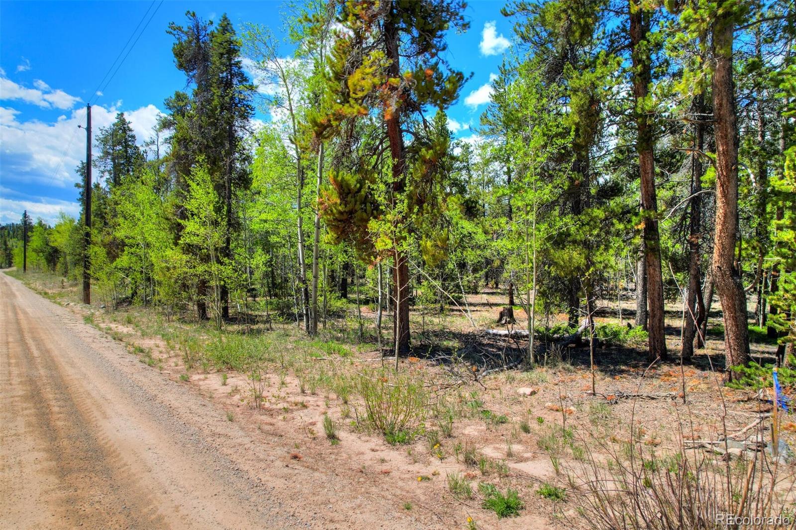 0 Busch Run Road Fairplay CO 80440