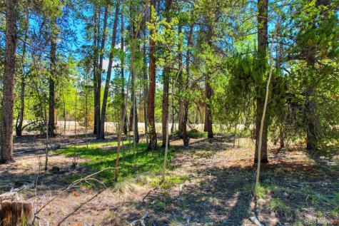 0 Busch Run Road Fairplay CO 80440