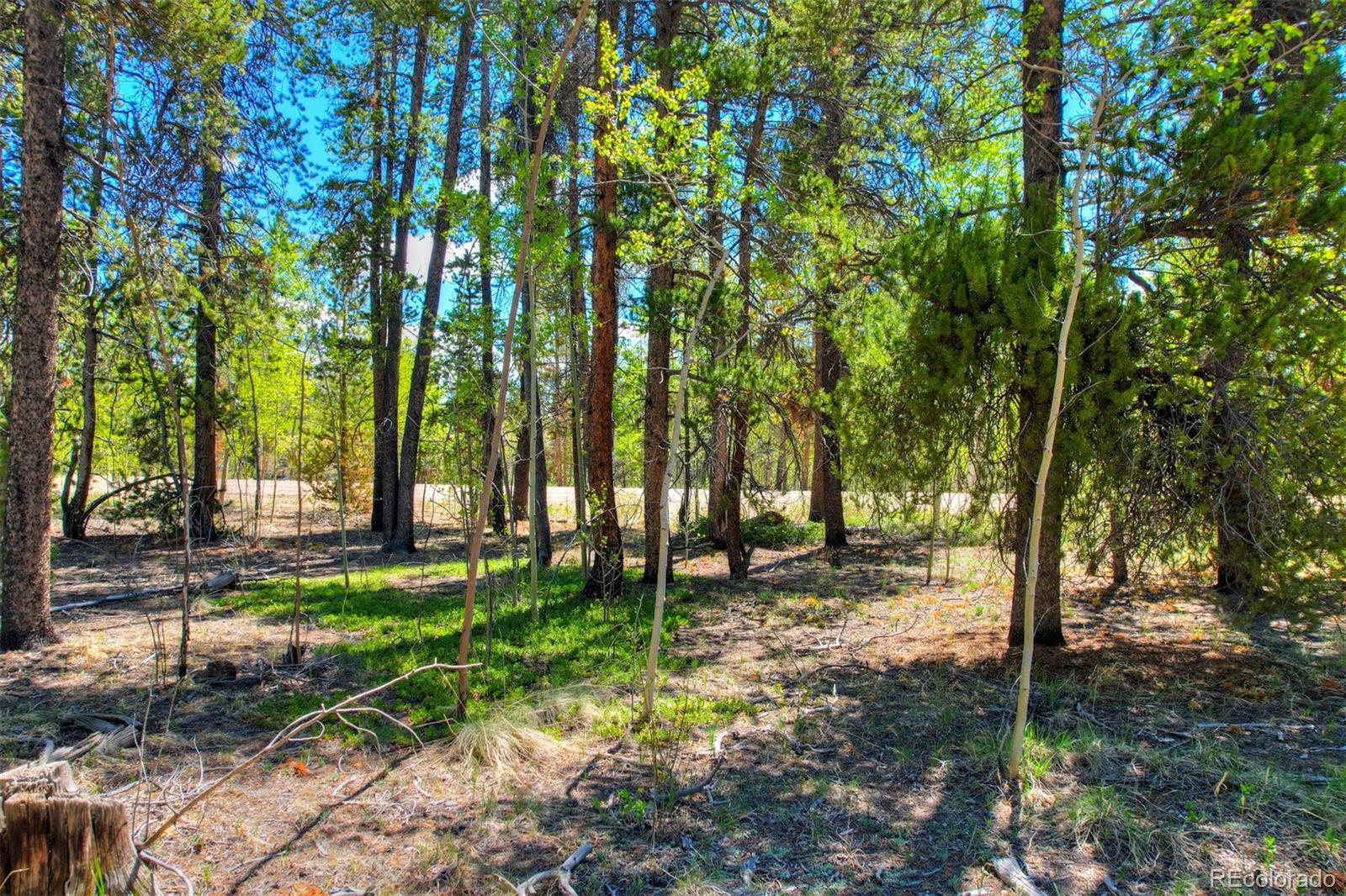 0 Busch Run Road Fairplay CO 80440