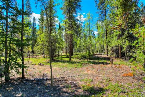 0 Busch Run Road Fairplay CO 80440