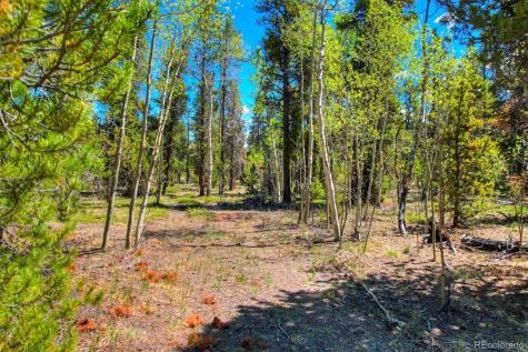 0 Busch Run Road Fairplay CO 80440