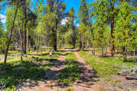 0 Busch Run Road Fairplay CO 80440