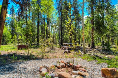 0 Busch Run Road Fairplay CO 80440