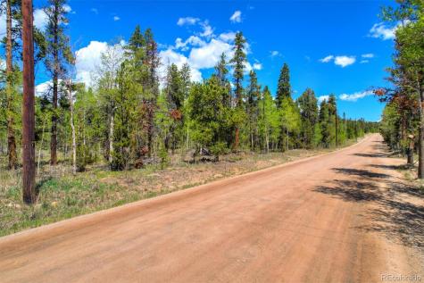 0 Busch Run Road Fairplay CO 80440