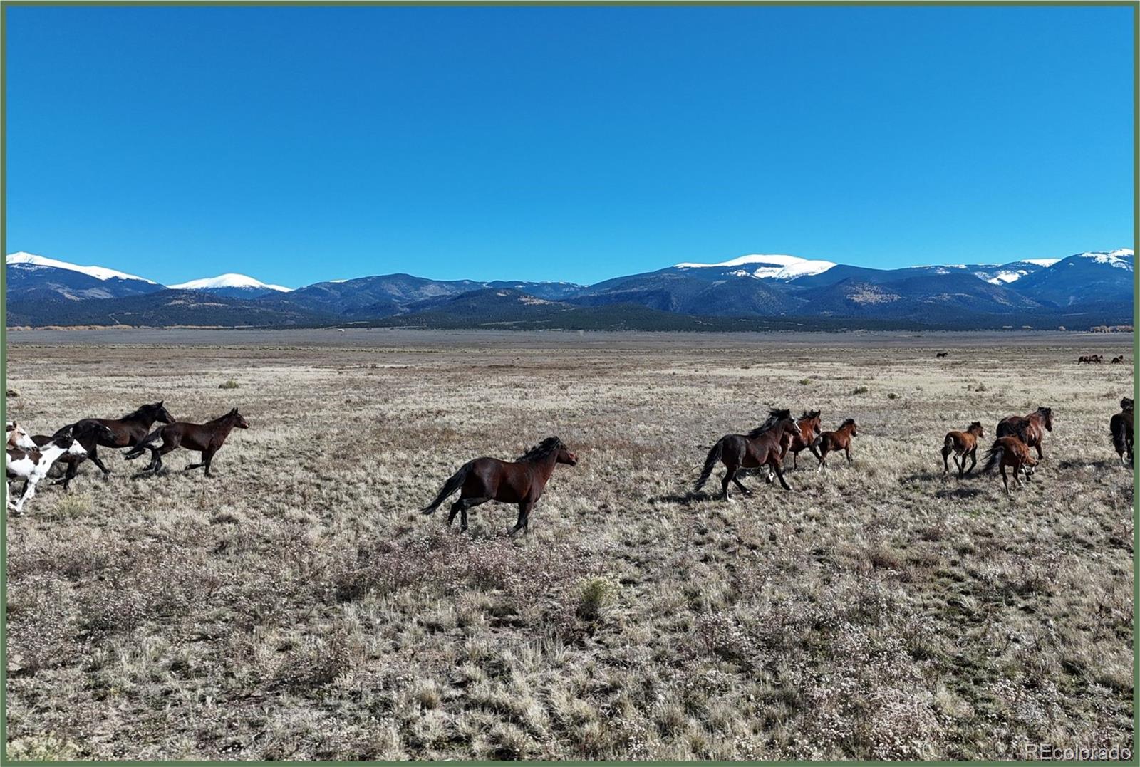 123 W Valley Drive San Luis CO 81152
