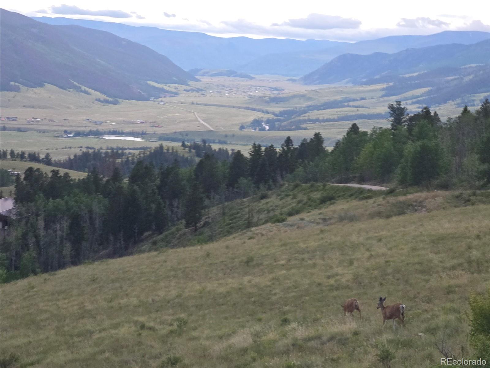 487 County Road 504 Bachelor Loop Creede CO 81130