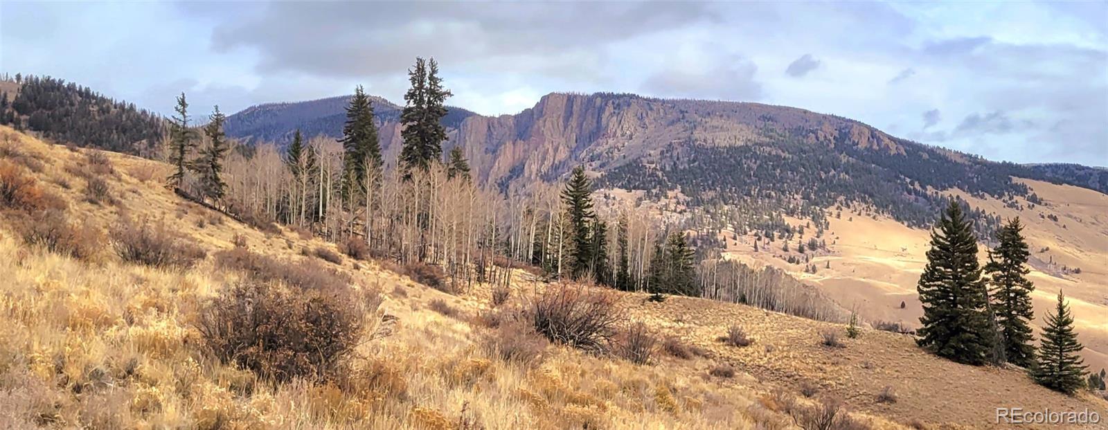 487 County Road 504 Bachelor Loop Creede CO 81130