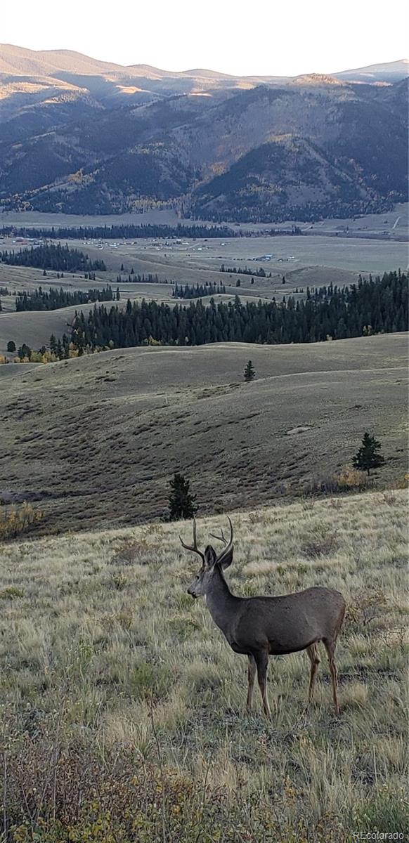 487 County Road 504 Bachelor Loop Creede CO 81130