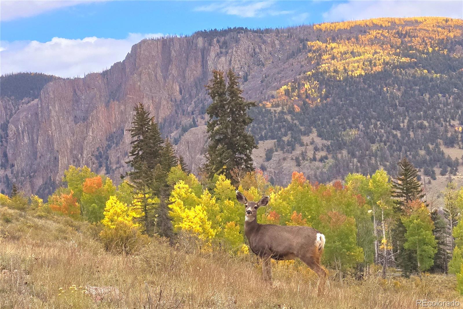 487 County Road 504 Bachelor Loop Creede CO 81130