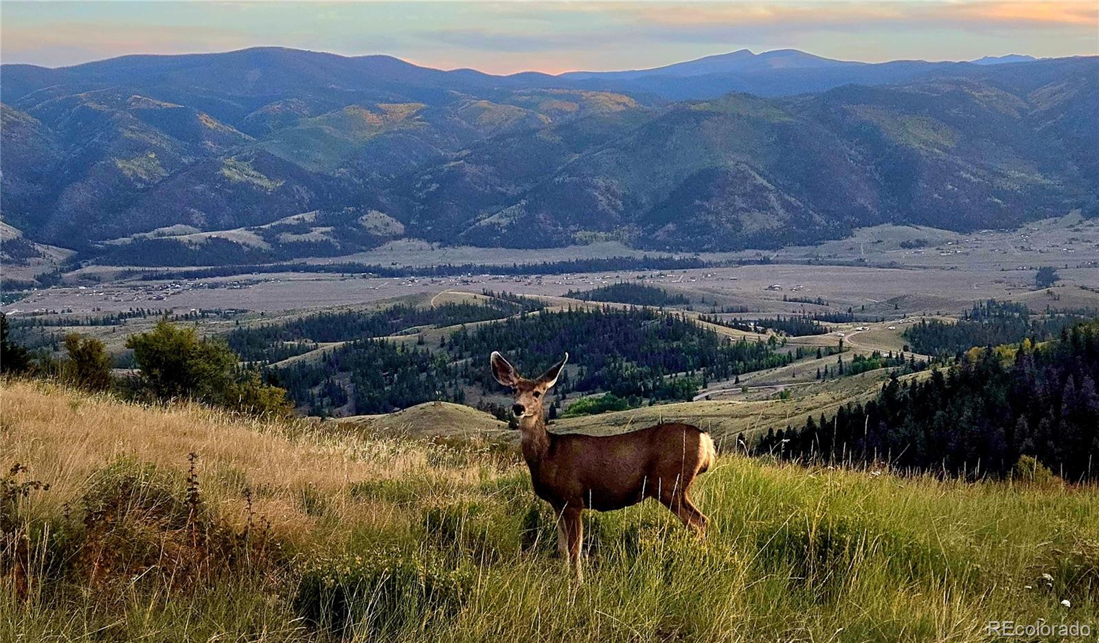 487 County Road 504 Bachelor Loop Creede CO 81130