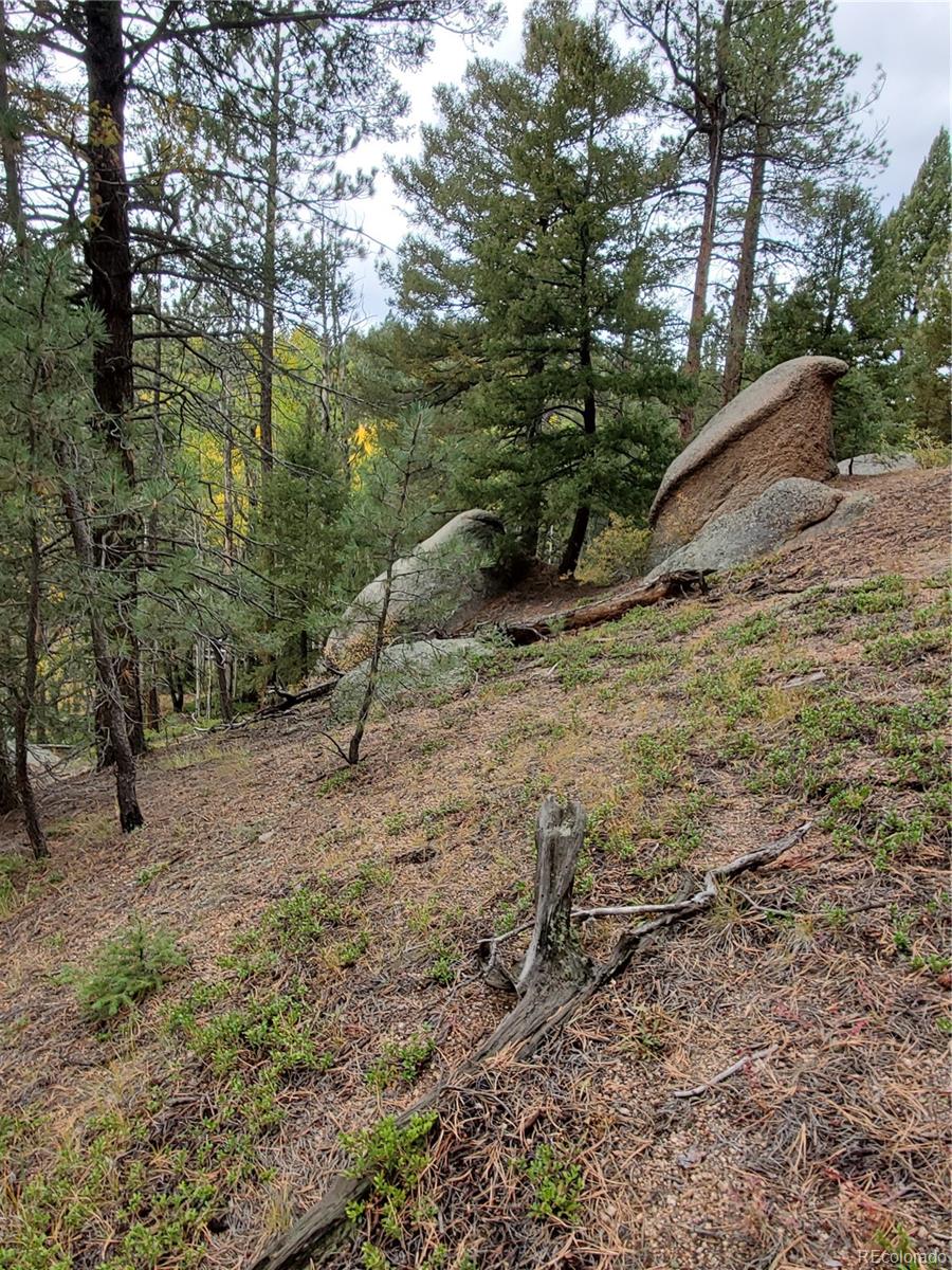 000 Rampart Range Sedalia CO 80135