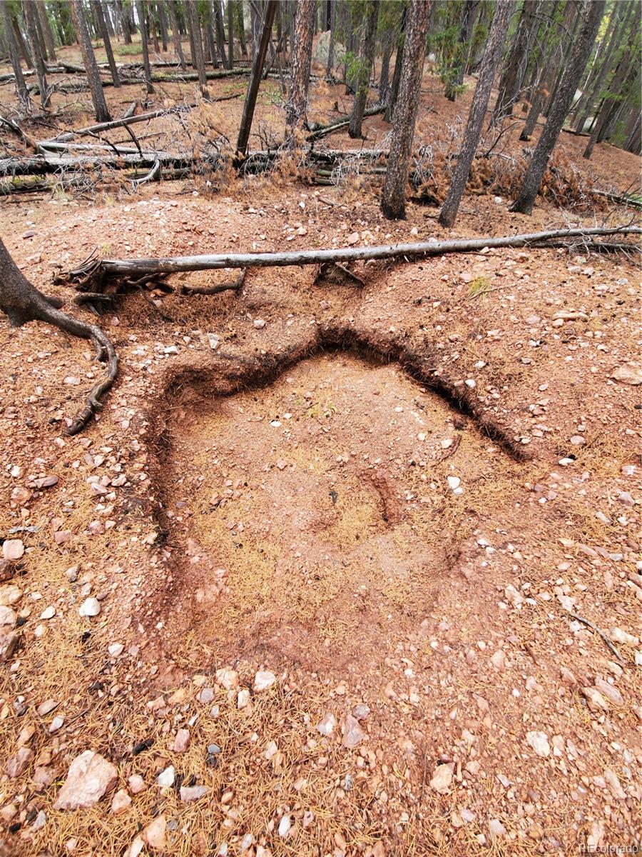 000 Rampart Range Sedalia CO 80135