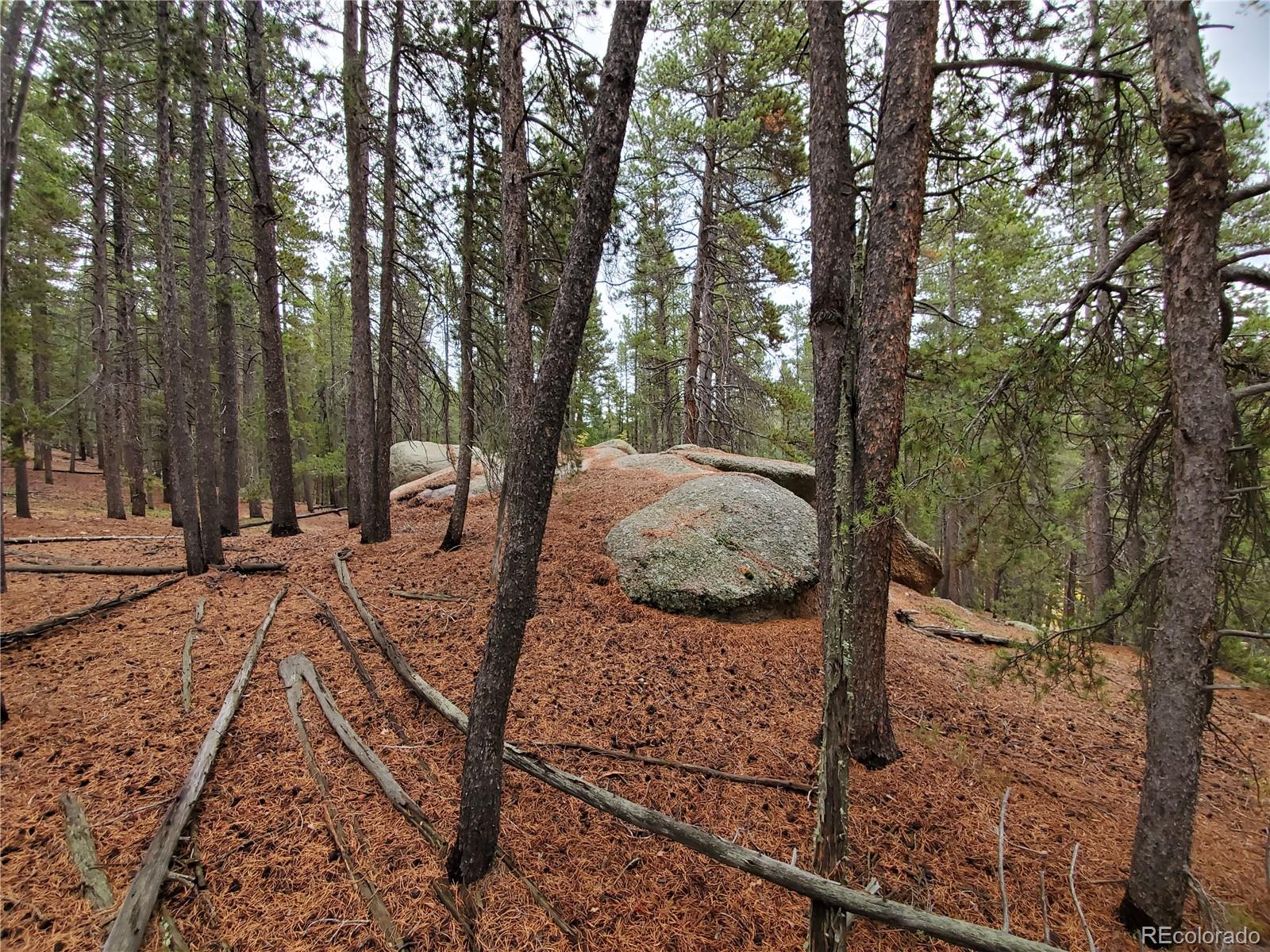 000 Rampart Range Sedalia CO 80135