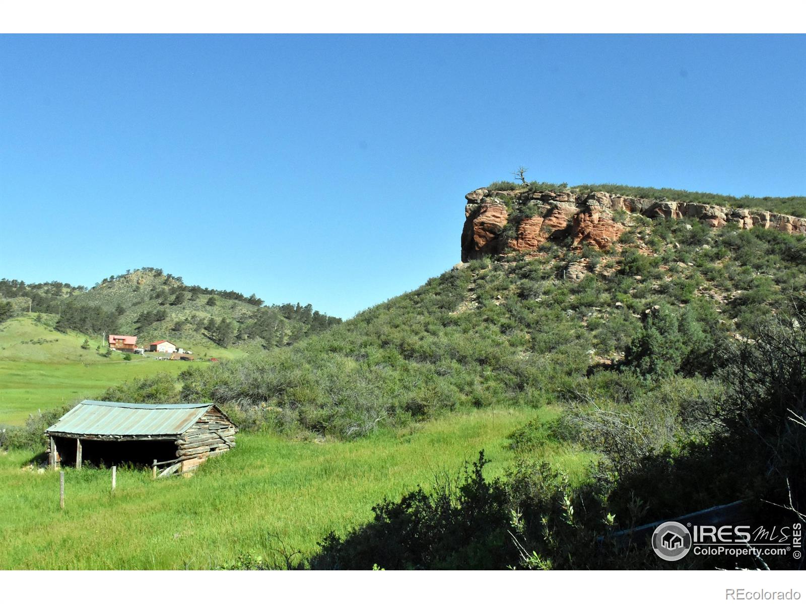 1364 Red Bluff Road Livermore CO 80536