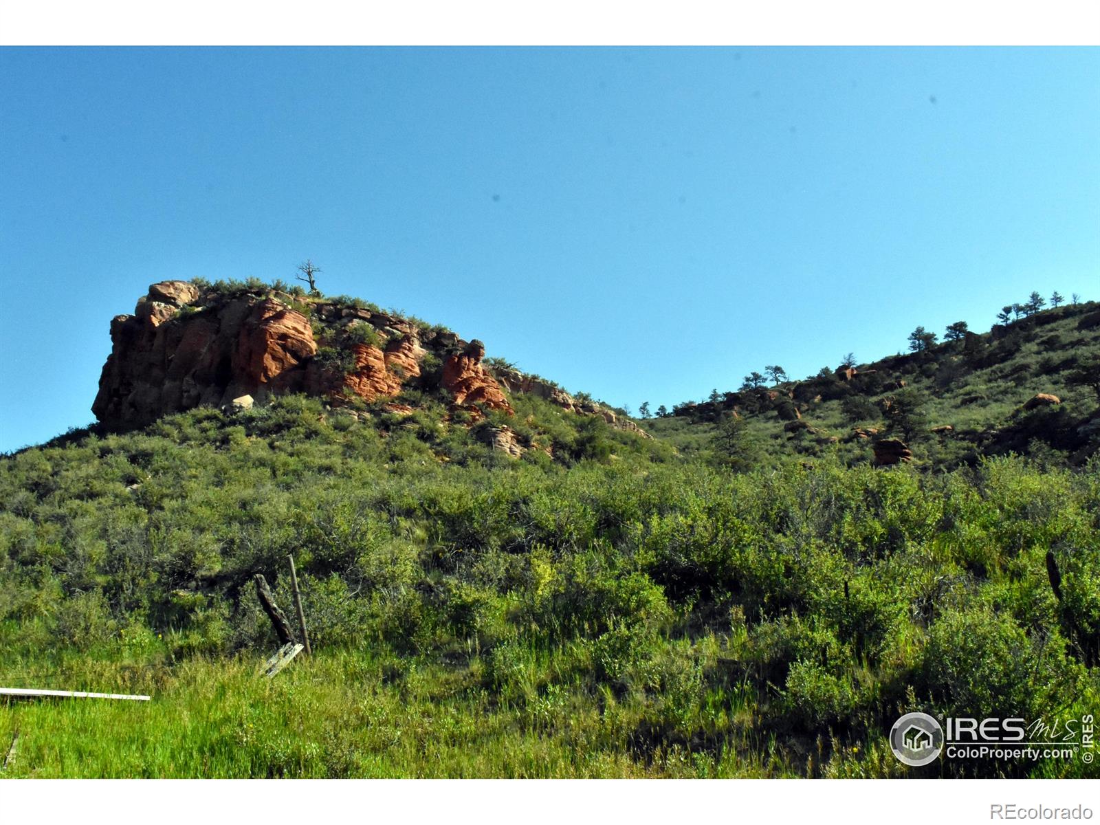 1364 Red Bluff Road Livermore CO 80536