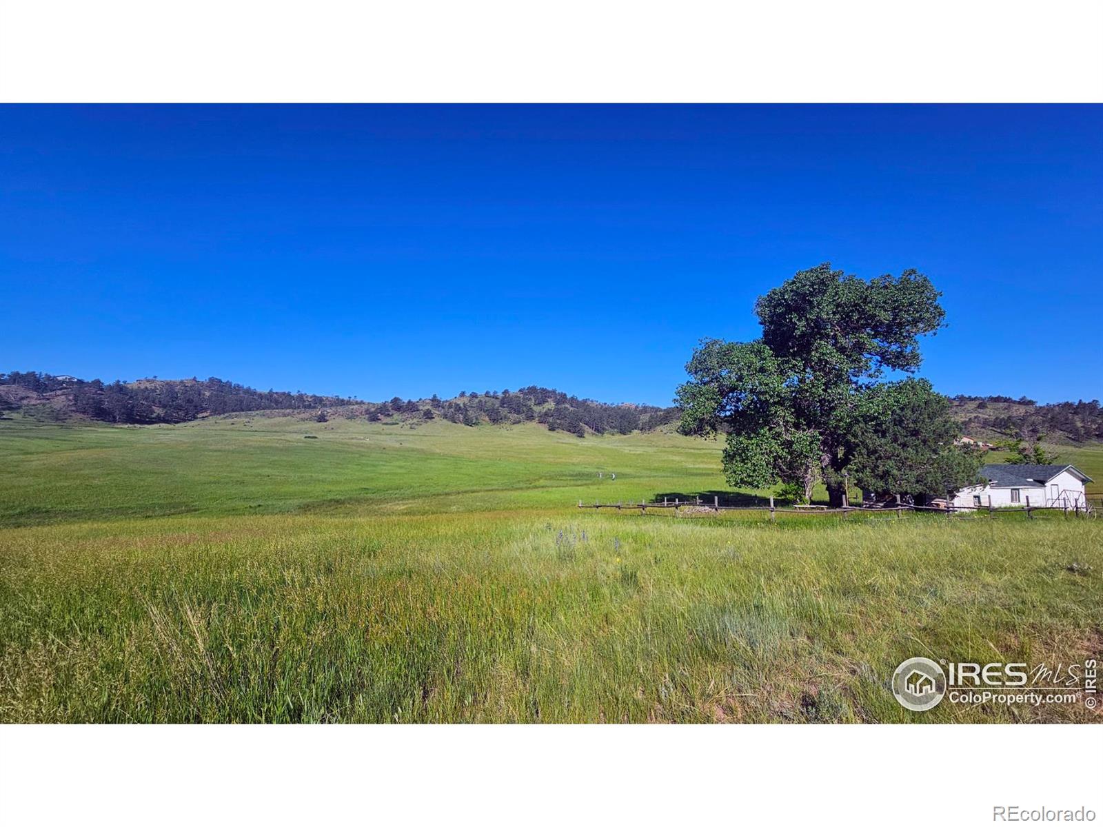 1364 Red Bluff Road Livermore CO 80536