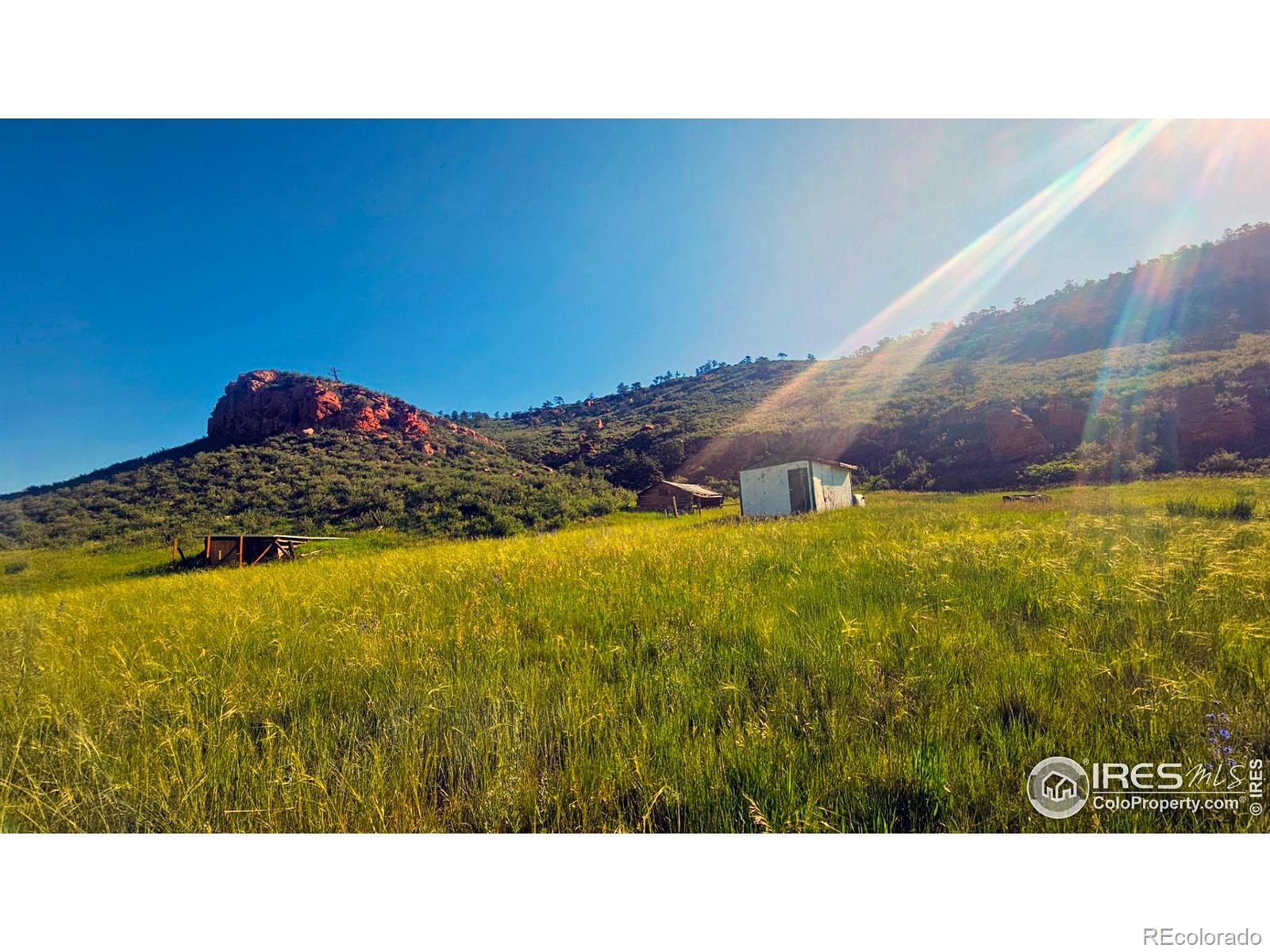 1364 Red Bluff Road Livermore CO 80536