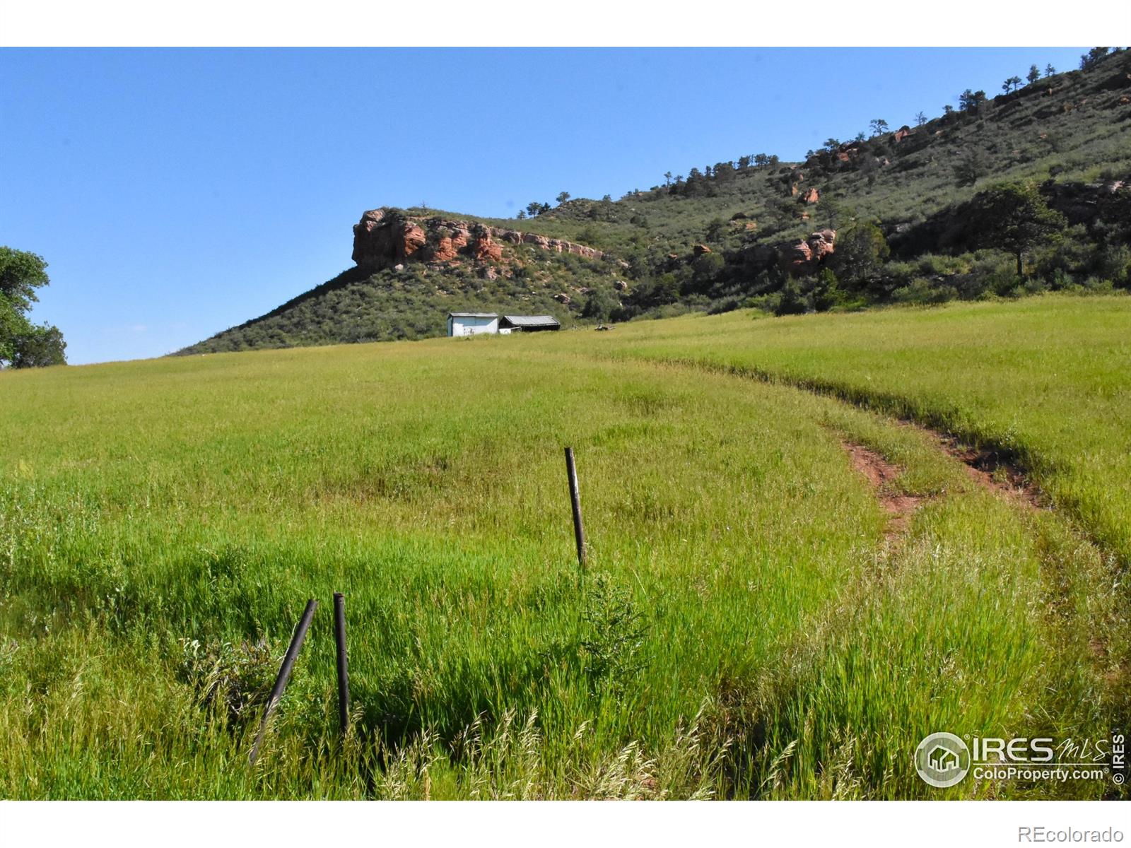 1364 Red Bluff Road Livermore CO 80536
