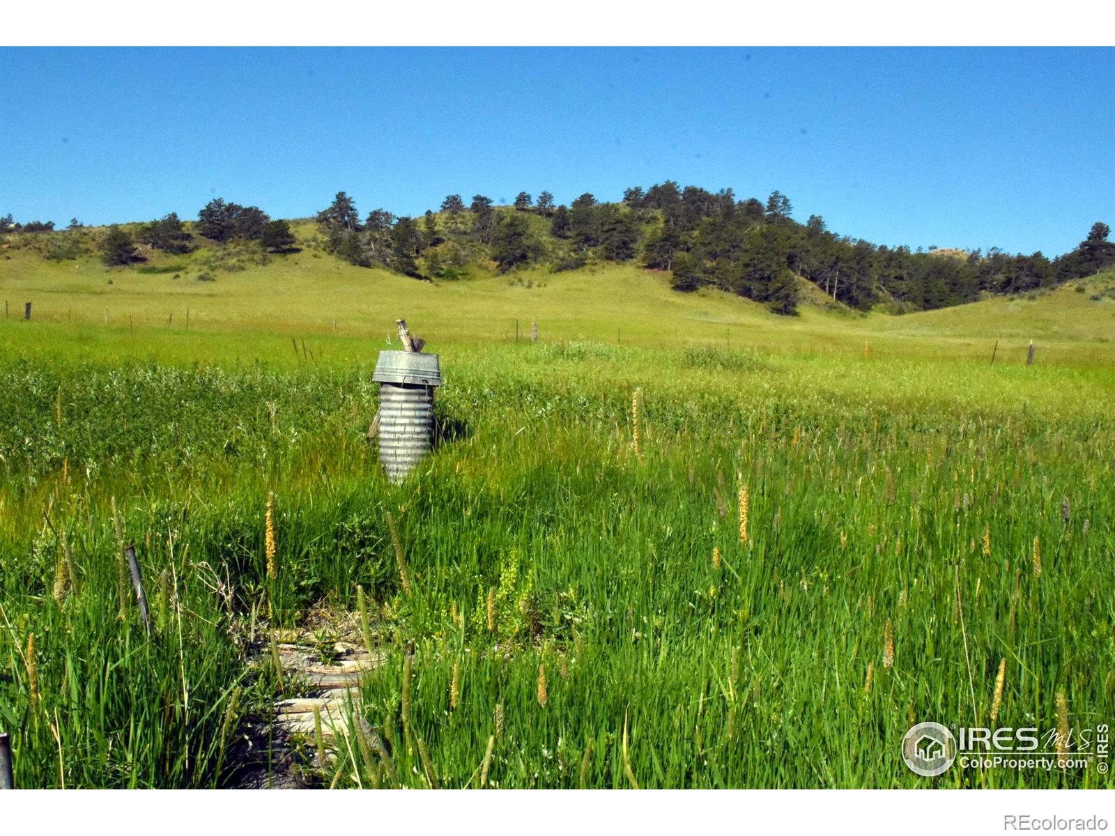 1364 Red Bluff Road Livermore CO 80536