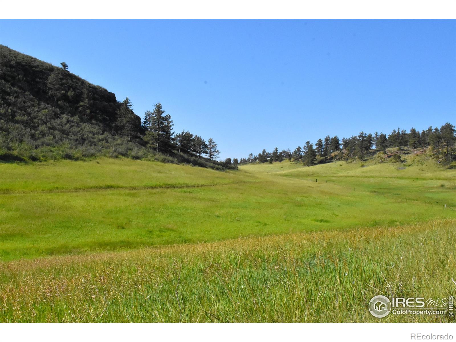 1364 Red Bluff Road Livermore CO 80536