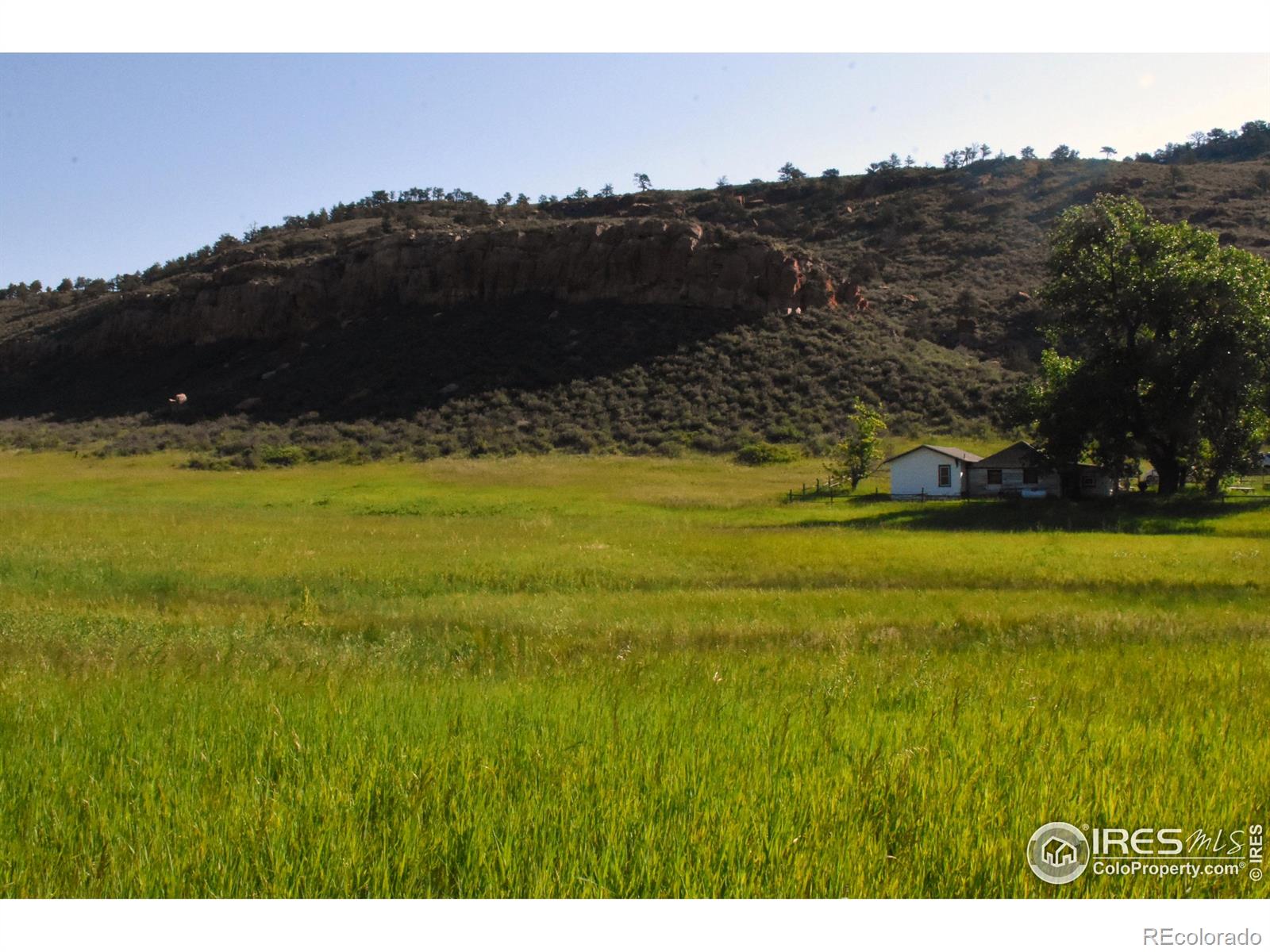 1364 Red Bluff Road Livermore CO 80536