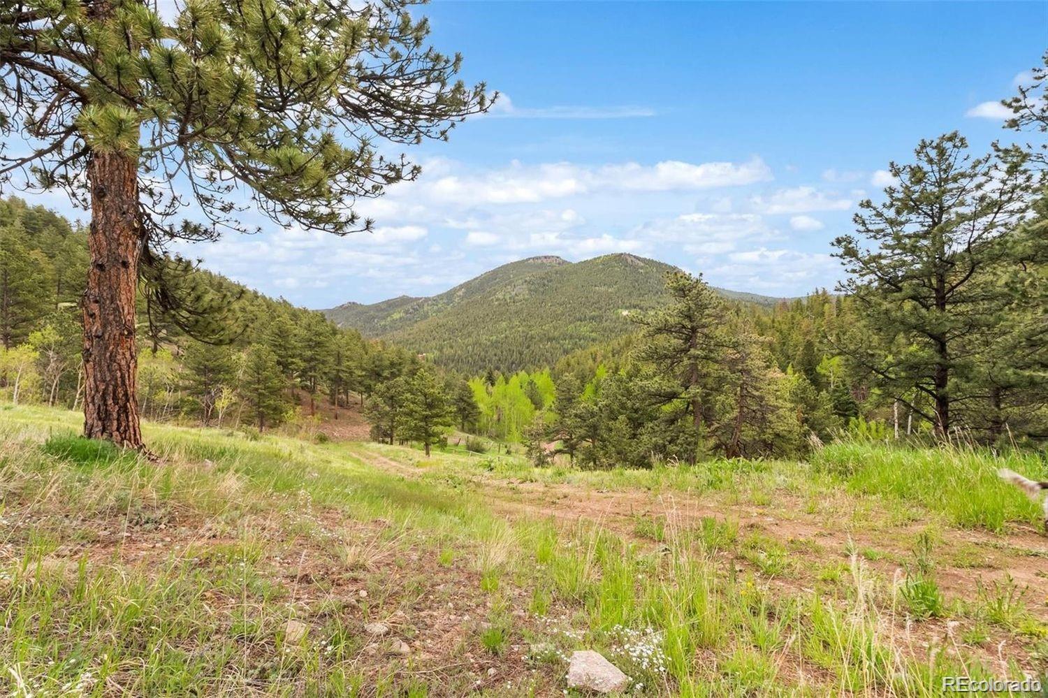 000 Spirit Horse Trail Golden CO 80403