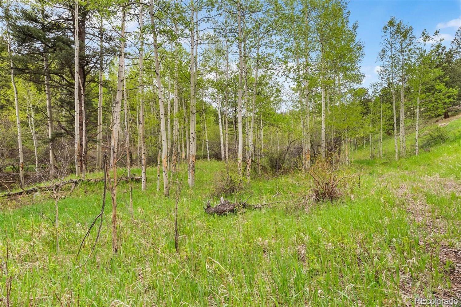 000 Spirit Horse Trail Golden CO 80403