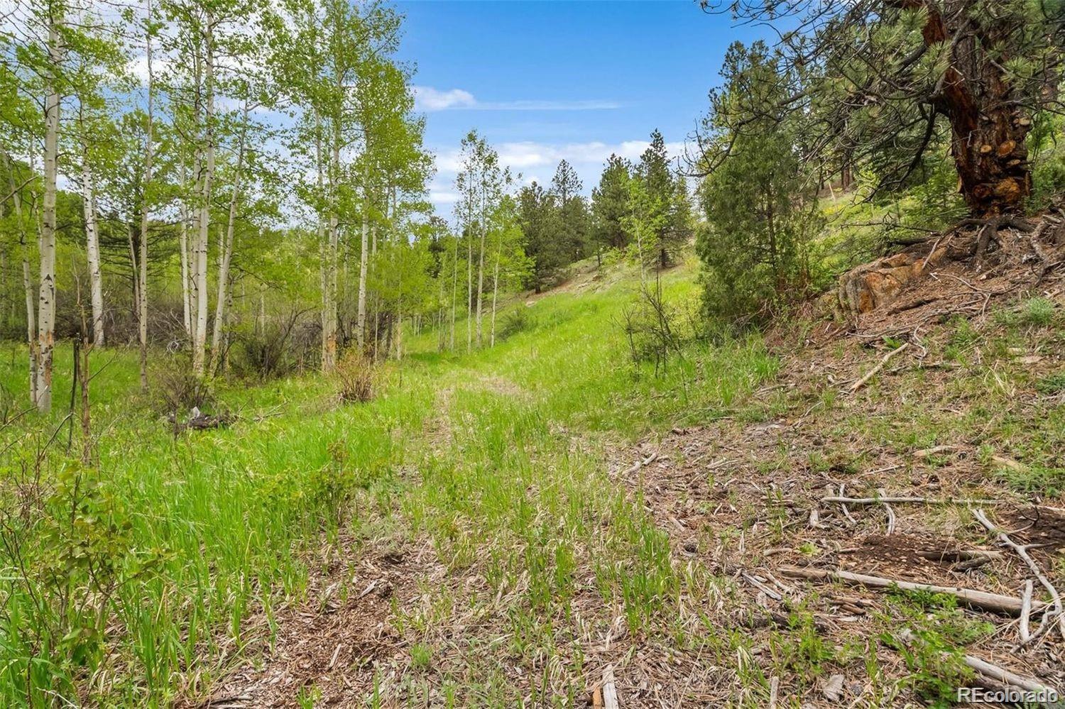 000 Spirit Horse Trail Golden CO 80403