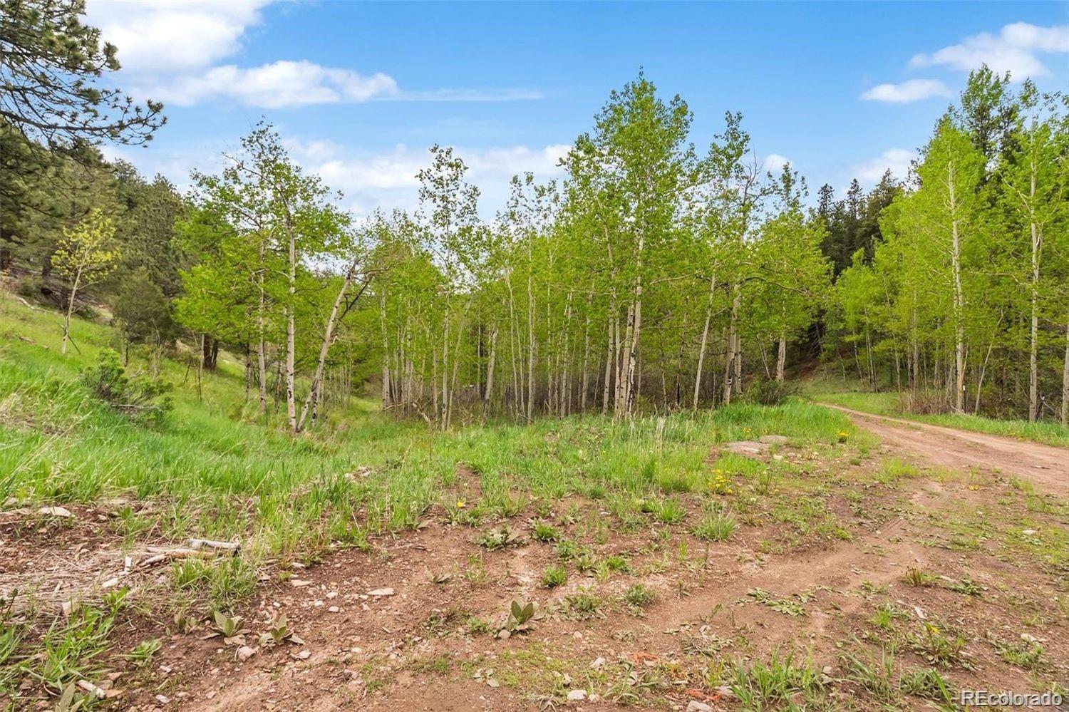 000 Spirit Horse Trail Golden CO 80403