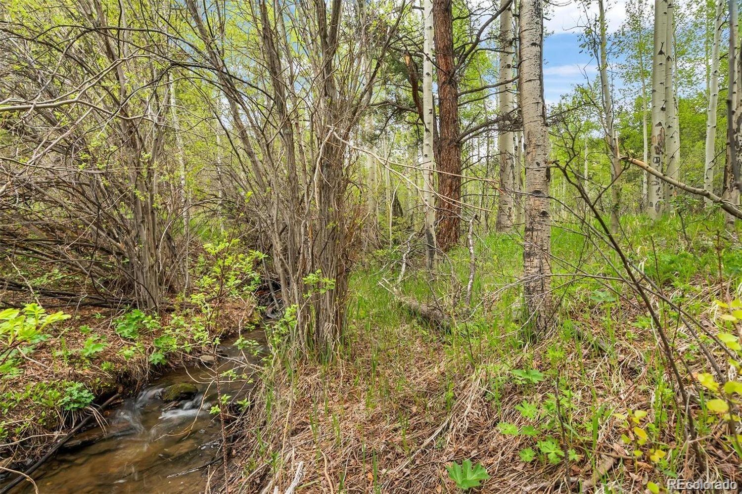 000 Spirit Horse Trail Golden CO 80403