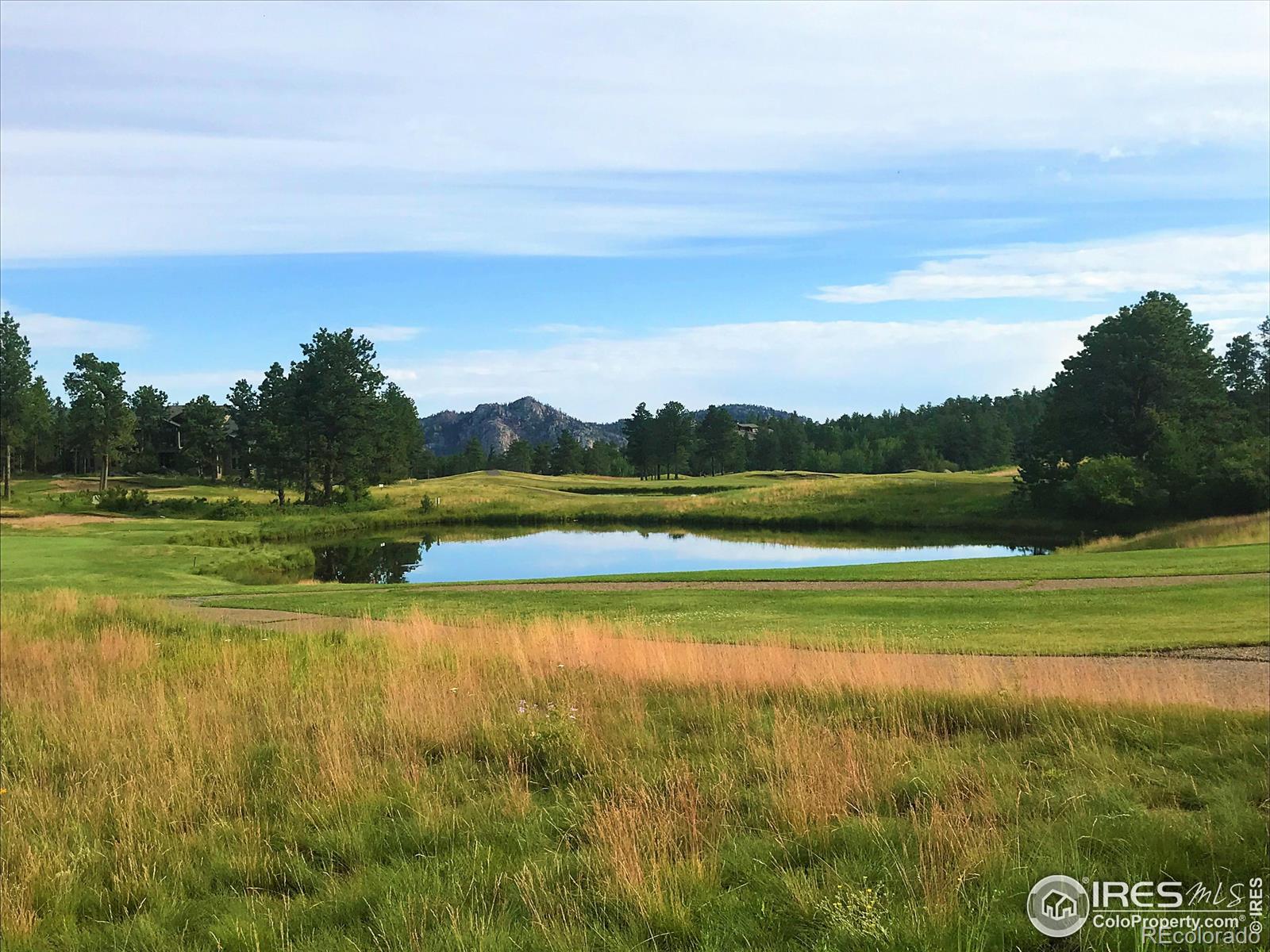 4 Fox Meadow Lane Red Feather Lakes CO 80545