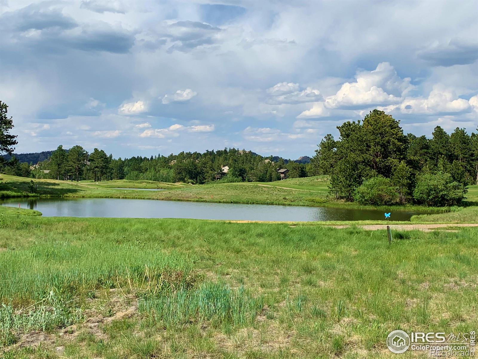 4 Fox Meadow Lane Red Feather Lakes CO 80545