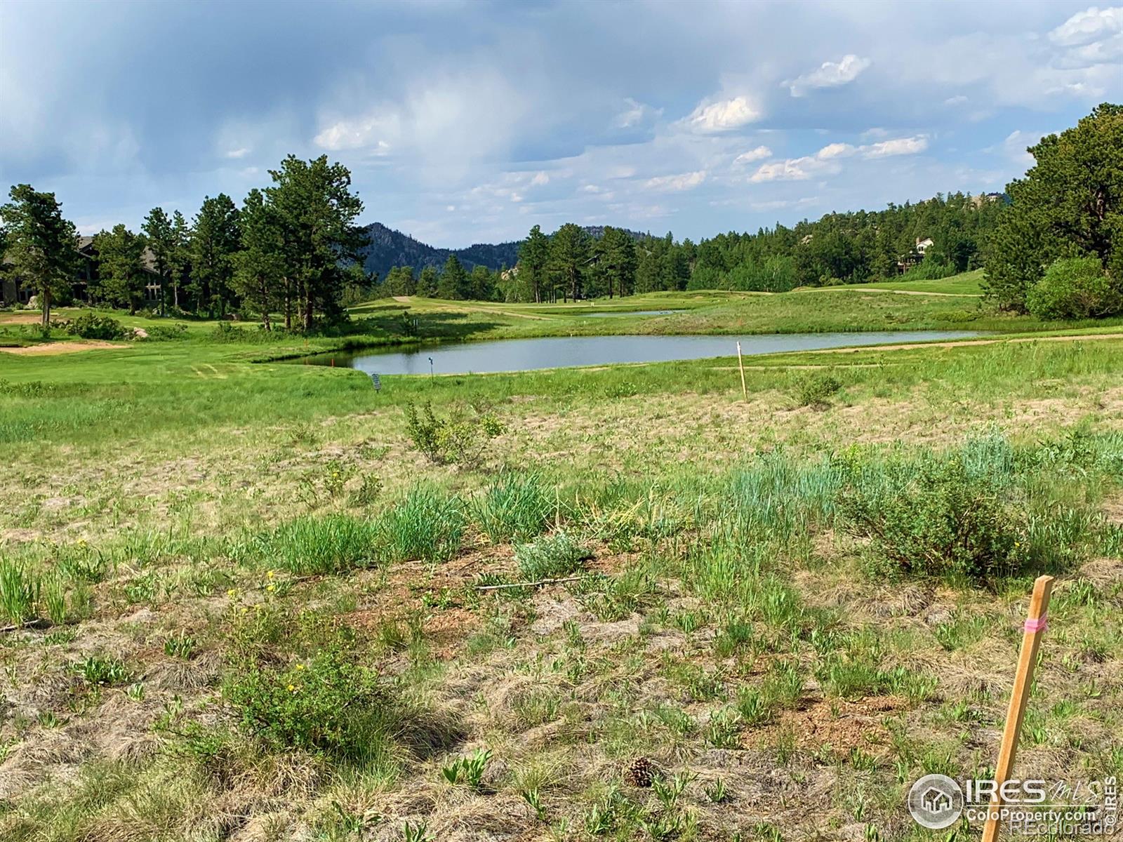 4 Fox Meadow Lane Red Feather Lakes CO 80545