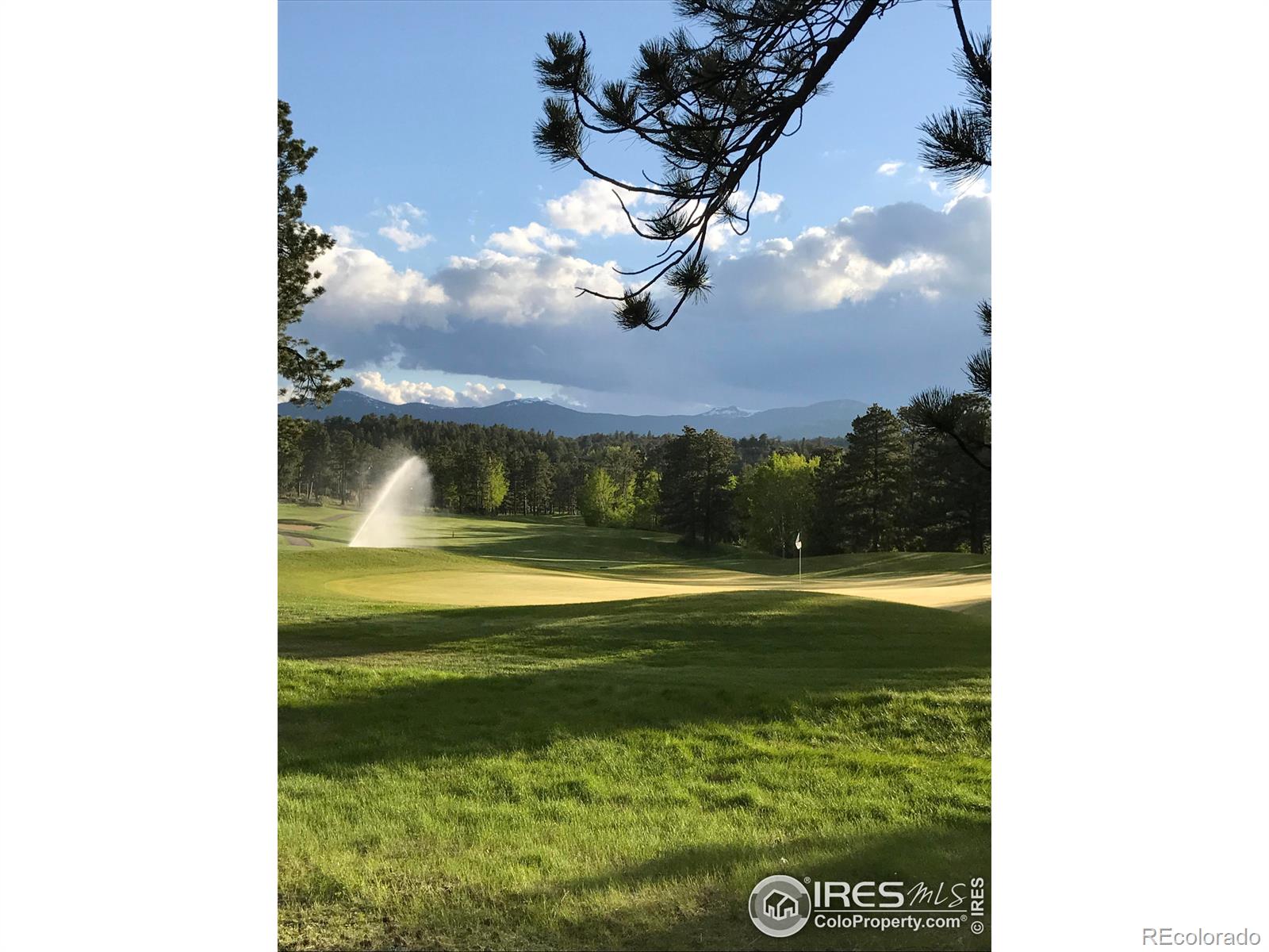 4 Fox Meadow Lane Red Feather Lakes CO 80545