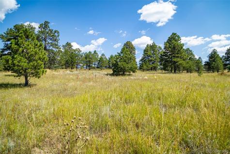 16759 Winsome Way Colorado Springs CO 80908