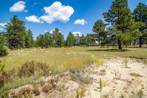 16759 Winsome Way Colorado Springs CO 80908